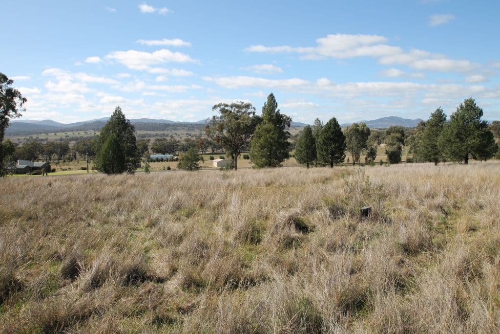 4 Greentrees Drive, QUIRINDI NSW 2343, Quirindi - Thumbnail 5