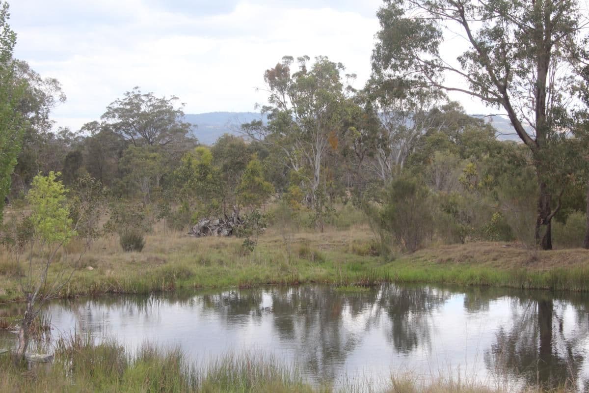 Tenterfield NSW 2372, Tenterfield - Thumbnail 2