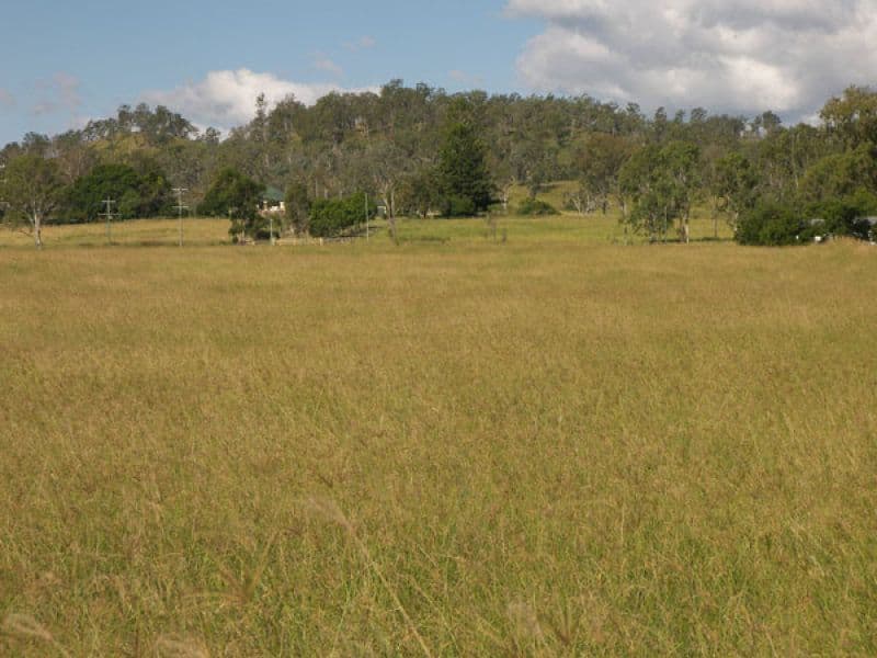 8162 Mount Lindesay Highway, Josephville QLD 4285, Josephville - Thumbnail 5