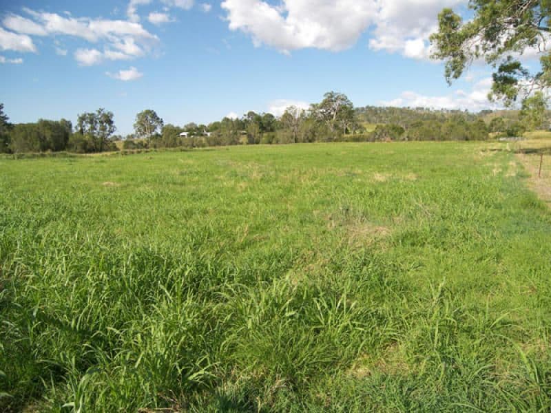 8162 Mount Lindesay Highway, Josephville QLD 4285, Josephville - Thumbnail 6