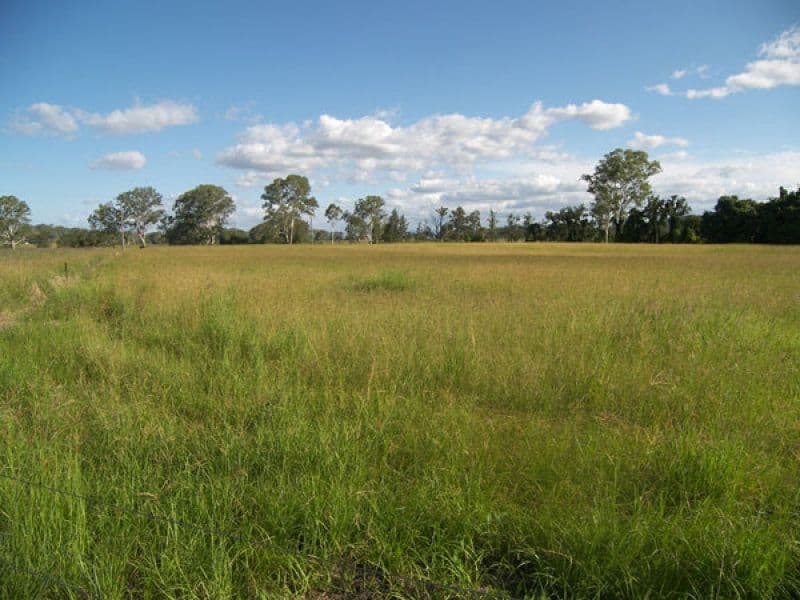 8162 Mount Lindesay Highway, Josephville QLD 4285, Josephville - Thumbnail 7