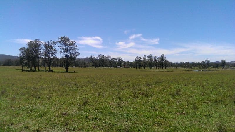 Lot 21, 1397 Dungog Road, Dungog NSW 2420, Dungog - Thumbnail 2