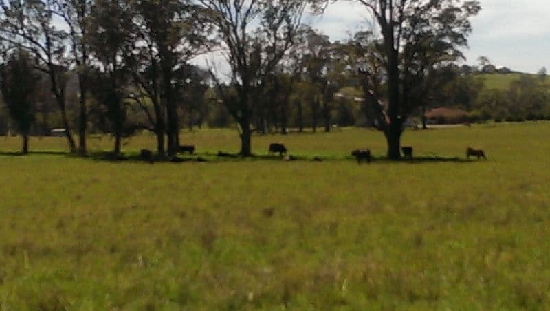Lot 21, 1397 Dungog Road, Dungog NSW 2420, Dungog - Thumbnail 3
