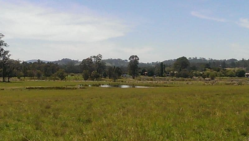 Lot 21, 1397 Dungog Road, Dungog NSW 2420, Dungog - Thumbnail 4