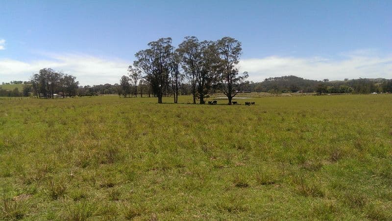 Lot 21, 1397 Dungog Road, Dungog NSW 2420, Dungog - Thumbnail 5