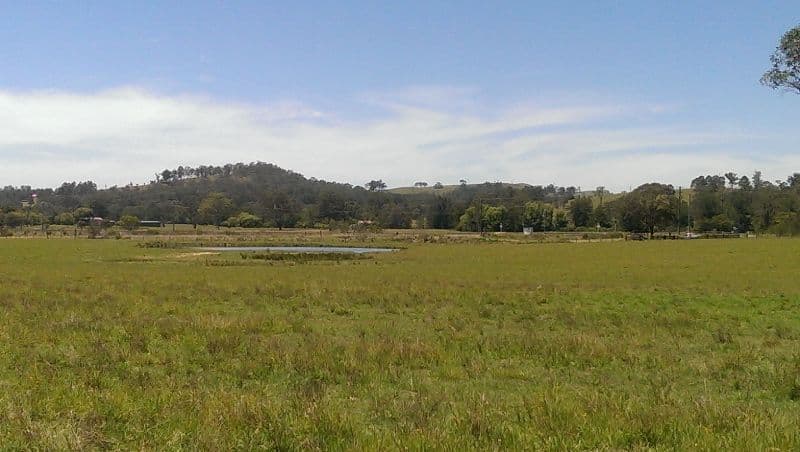 Lot 21, 1397 Dungog Road, Dungog NSW 2420, Dungog - Thumbnail 7