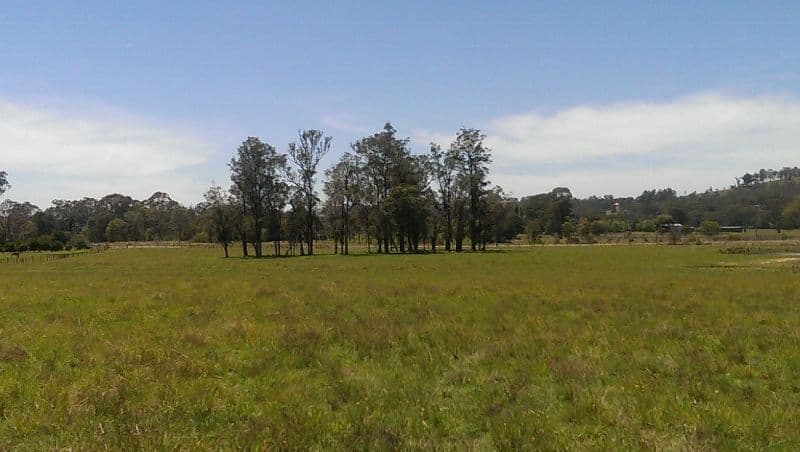 Lot 21, 1397 Dungog Road, Dungog NSW 2420, Dungog - Thumbnail 8