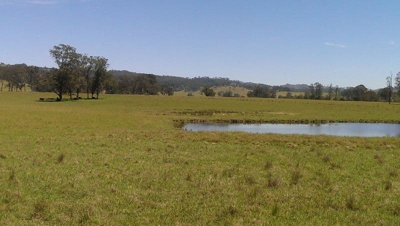 Lot 21, 1397 Dungog Road, Dungog NSW 2420, Dungog - Image 1