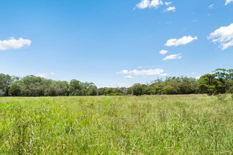 36 Browns Road, MANDALONG NSW 2264, Mandalong - Thumbnail 6