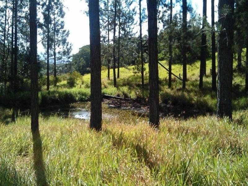 138 EULUMA CREEK Road, JULATTEN QLD 4871, Julatten - Thumbnail 2