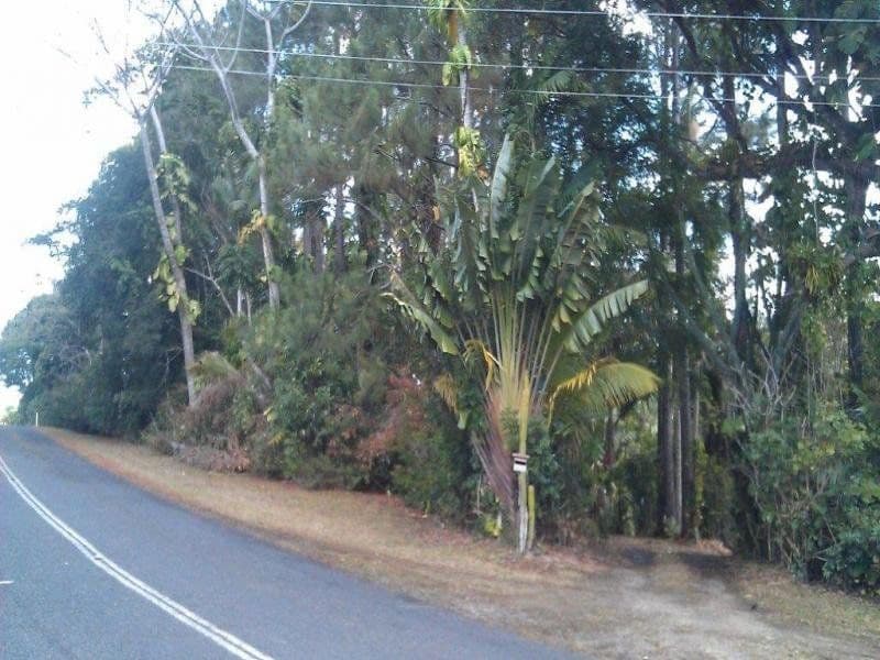 138 EULUMA CREEK Road, JULATTEN QLD 4871, Julatten - Thumbnail 3