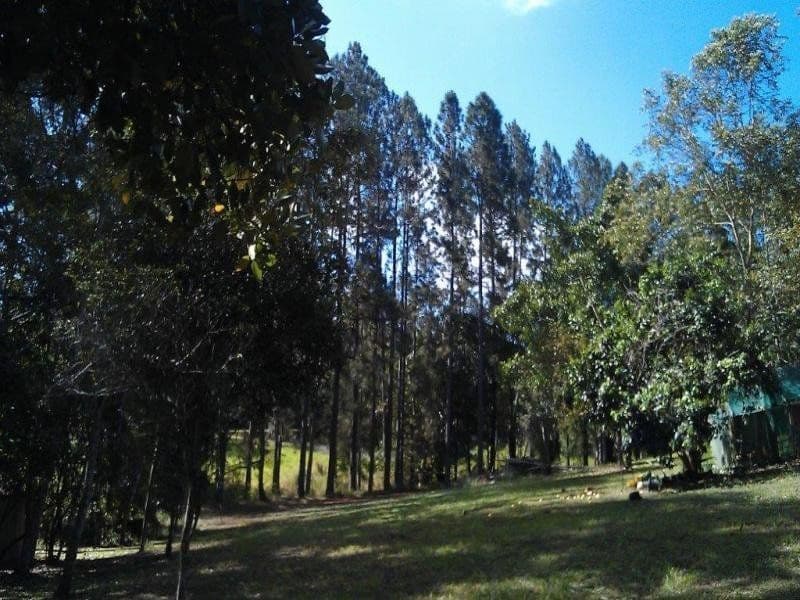 138 EULUMA CREEK Road, JULATTEN QLD 4871, Julatten - Thumbnail 4