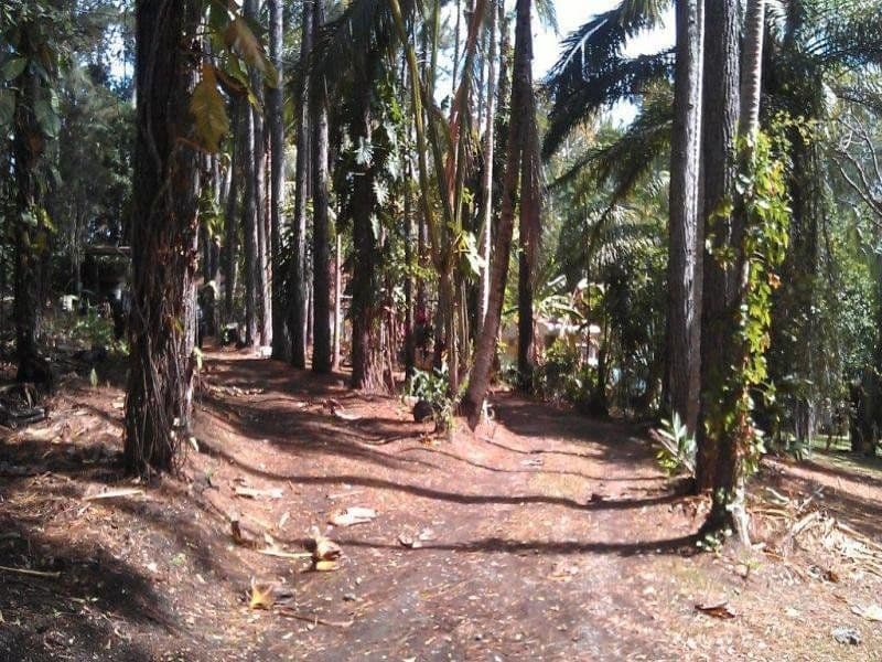 138 EULUMA CREEK Road, JULATTEN QLD 4871, Julatten - Thumbnail 5