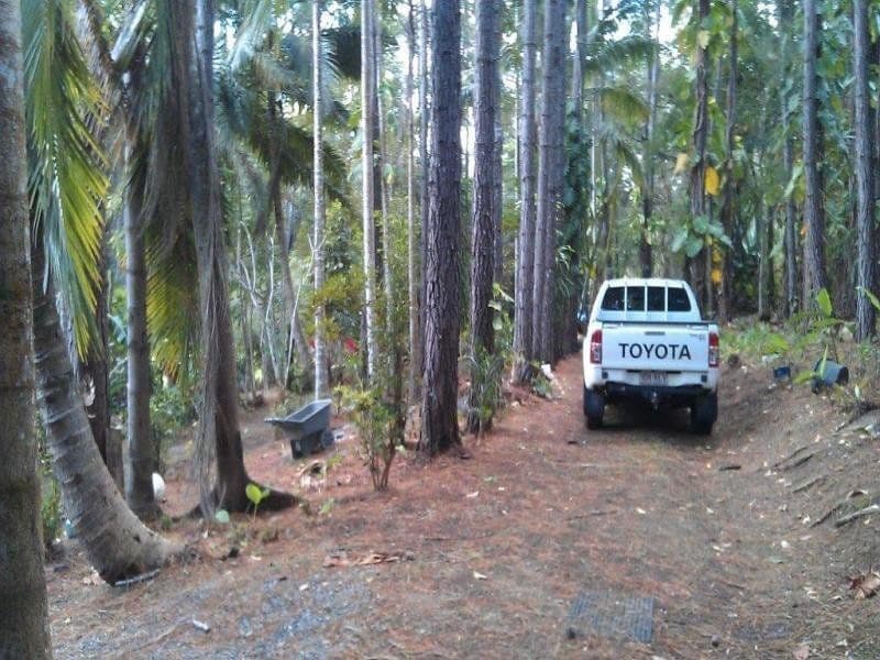 138 EULUMA CREEK Road, JULATTEN QLD 4871, Julatten - Thumbnail 6