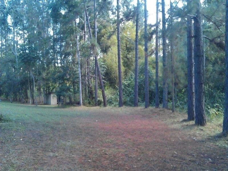 138 EULUMA CREEK Road, JULATTEN QLD 4871, Julatten - Image 1