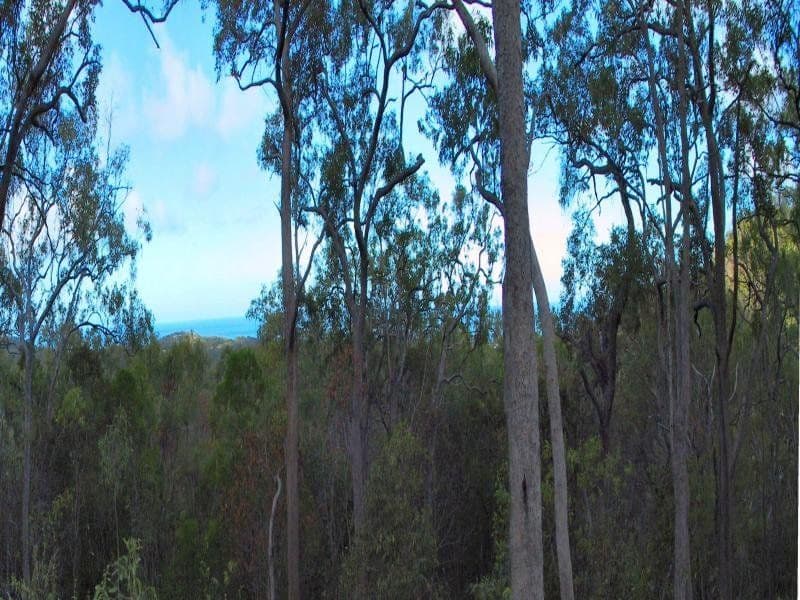 48 Milton Terrace, OAK BEACH QLD 4871, Oak Beach - Thumbnail 2