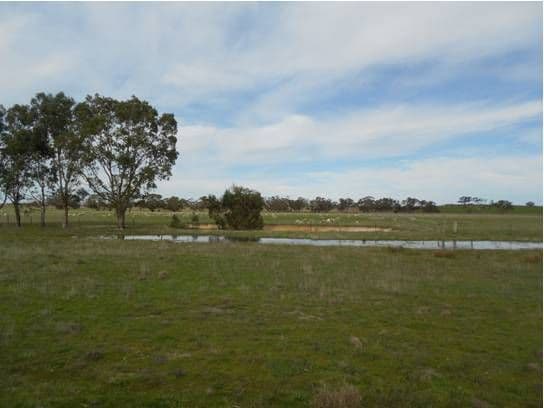 Lots 9 and 68 Ngarkat Highway, BORDERTOWN SA 5268, Bordertown - Thumbnail 6