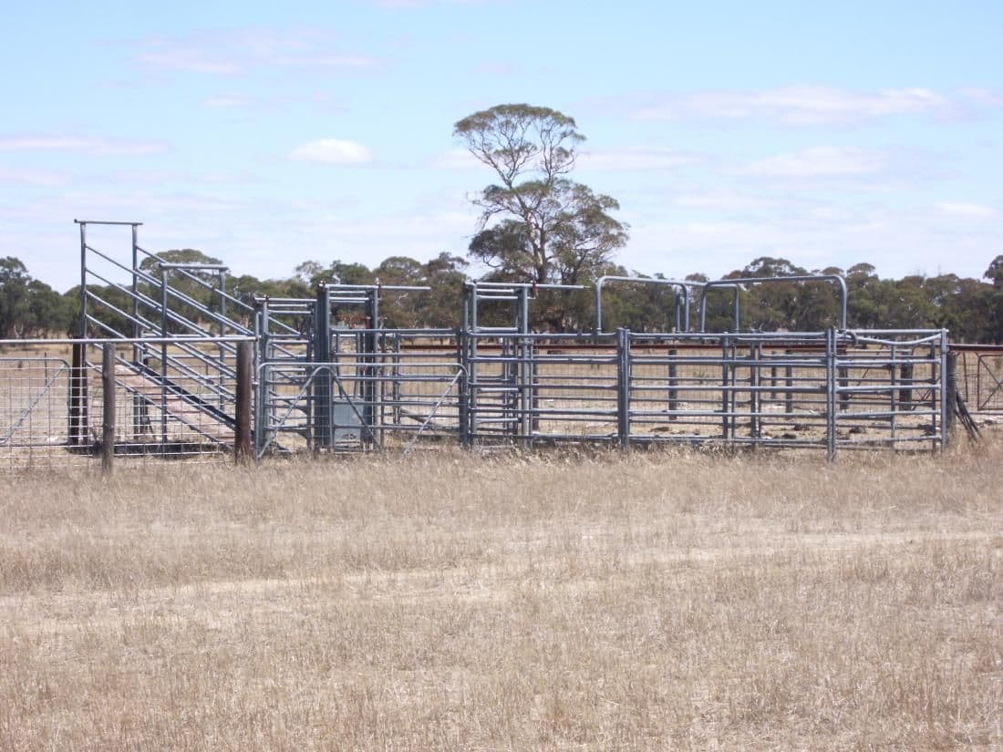 "Rosedale" Rowney Road, Mundulla SA 5270, Mundulla - Thumbnail 7