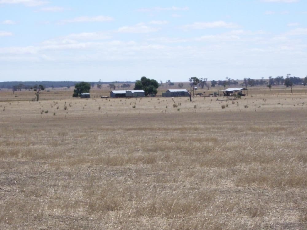 "Rosedale" Rowney Road, Mundulla SA 5270, Mundulla - Thumbnail 5