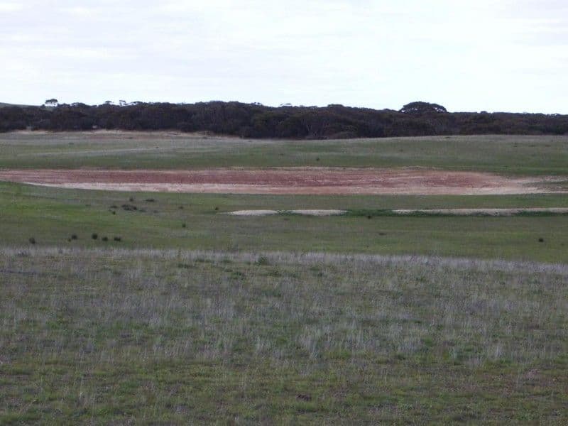 Sec. 118 Kulkami - Mulpata Road, Lameroo SA 5302, Lameroo - Thumbnail 2