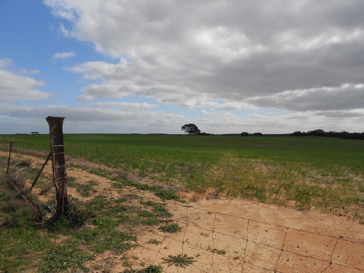 Sec. 118 Kulkami - Mulpata Road, Lameroo SA 5302, Lameroo - Thumbnail 3