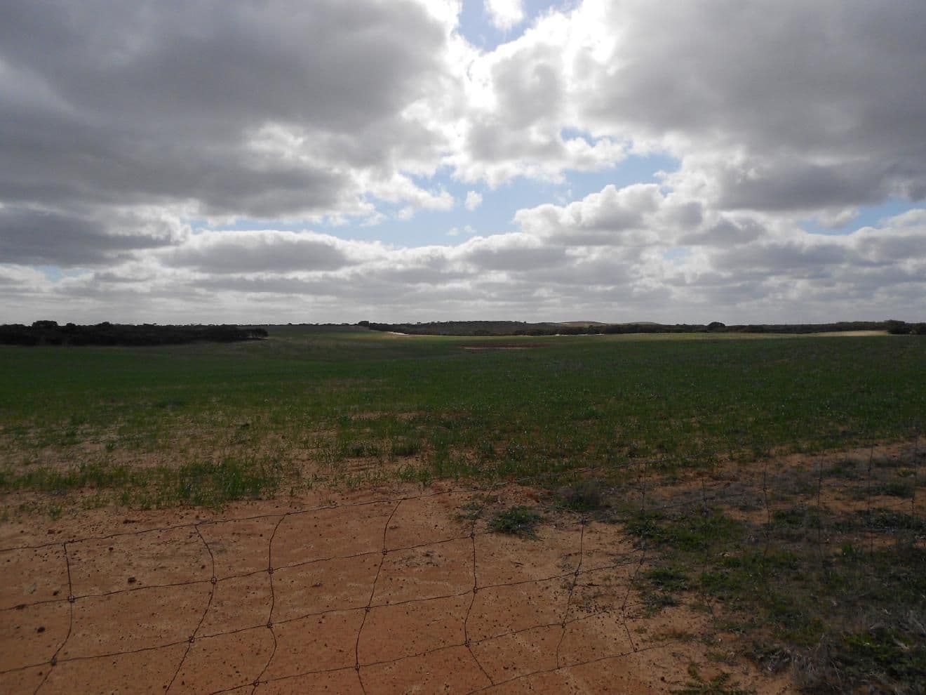Sec. 118 Kulkami - Mulpata Road, Lameroo SA 5302, Lameroo - Thumbnail 5