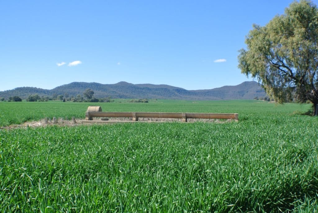 Couradda North Couradda Road, NARRABRI NSW 2390, Narrabri - Thumbnail 7