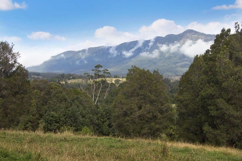 Lot 6 Byrrill creek Road, TYALGUM NSW 2484, Tyalgum - Thumbnail 4