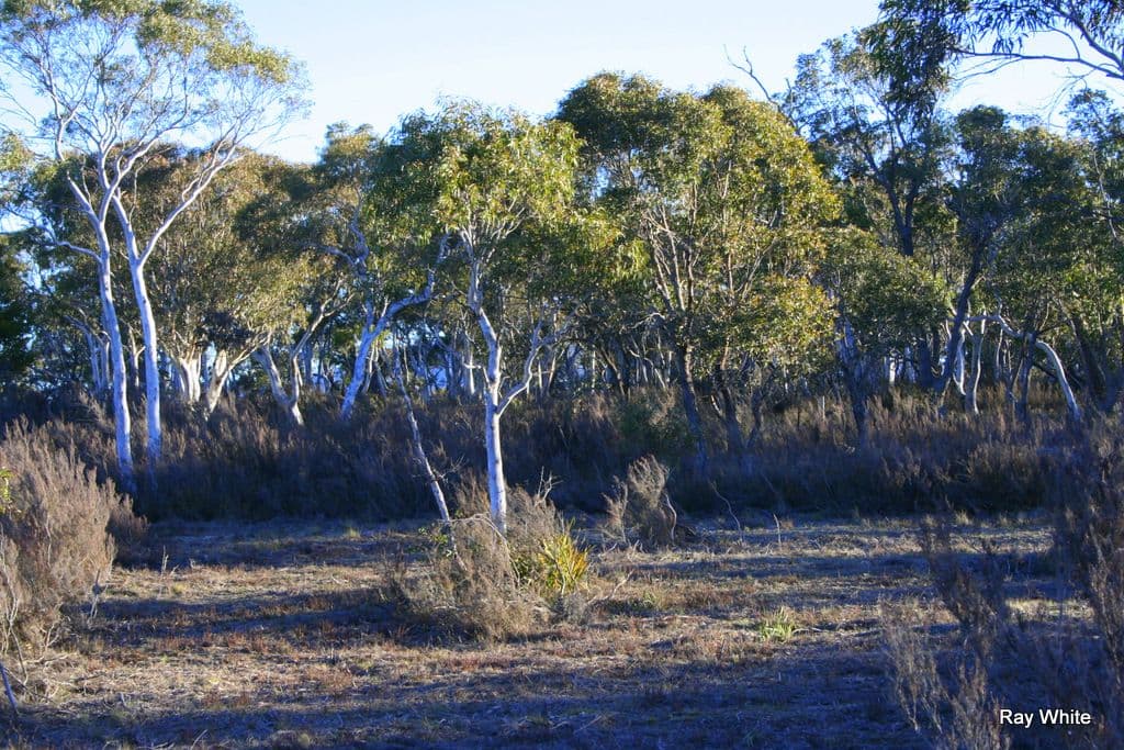 500 Little Bombay Road, BRAIDWOOD NSW 2622, Braidwood - Thumbnail 7
