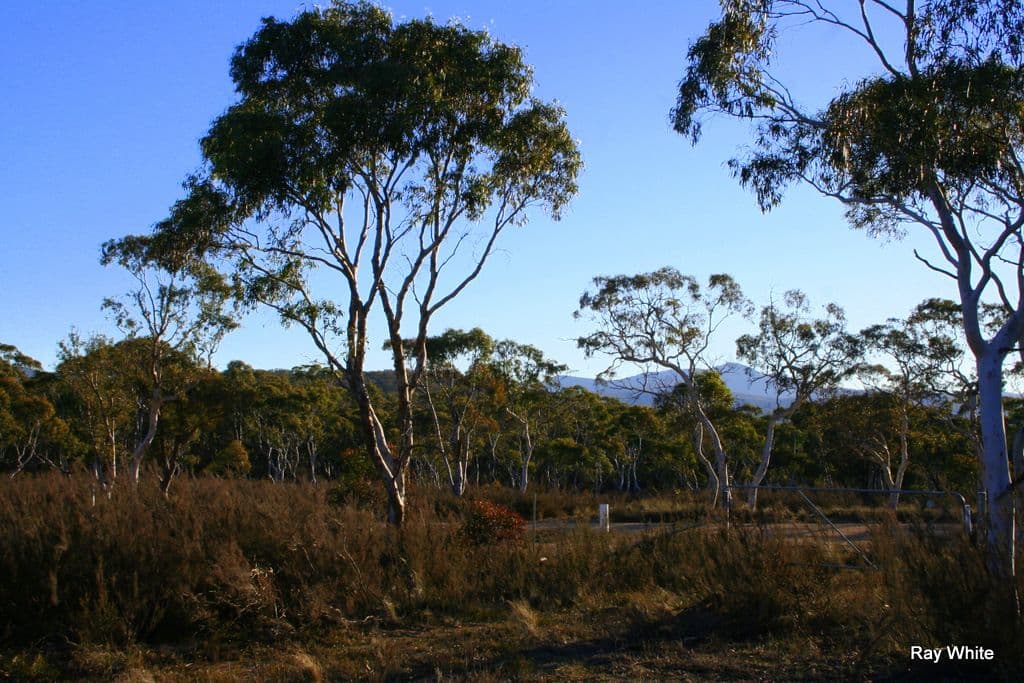 500 Little Bombay Road, BRAIDWOOD NSW 2622, Braidwood - Image 1