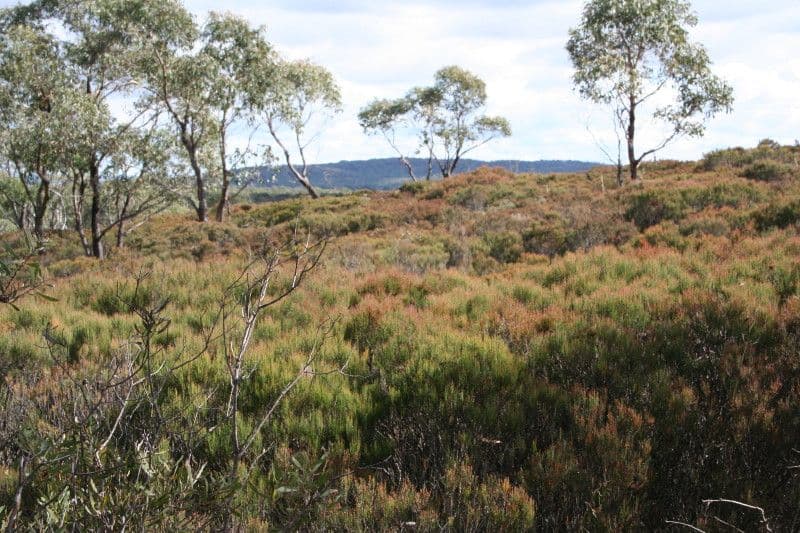 139 Half moon Road, MONGARLOWE NSW 2622, Mongarlowe - Thumbnail 5