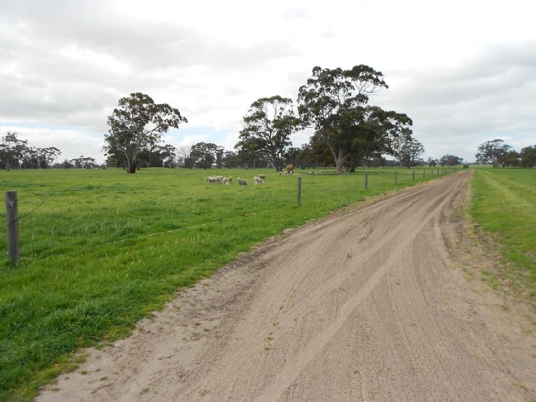 298 Golf Course Road, BORDERTOWN SA 5268, Bordertown - Thumbnail 4