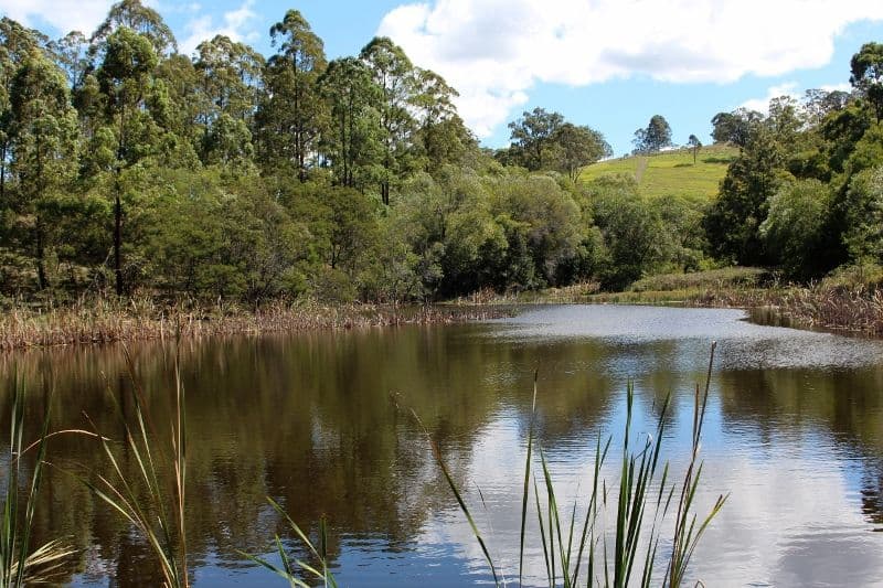 49 Moylans Road, DUNGOG NSW 2420, Dungog - Thumbnail 3