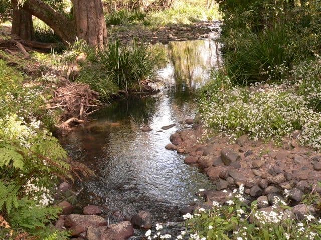 1312 Chichester Road, DUNGOG NSW 2420, Dungog - Thumbnail 7