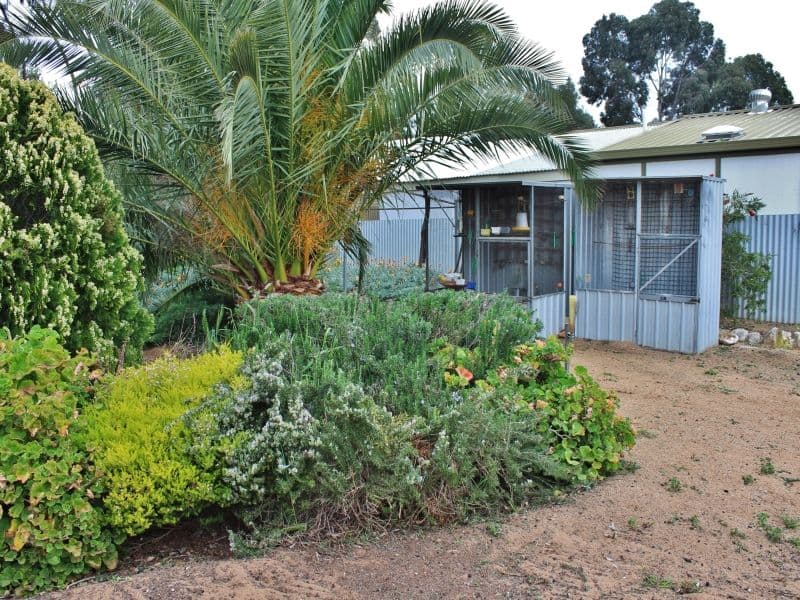 13 Torrens Road, MURRAY BRIDGE SA 5253, Murray Bridge - Thumbnail 8