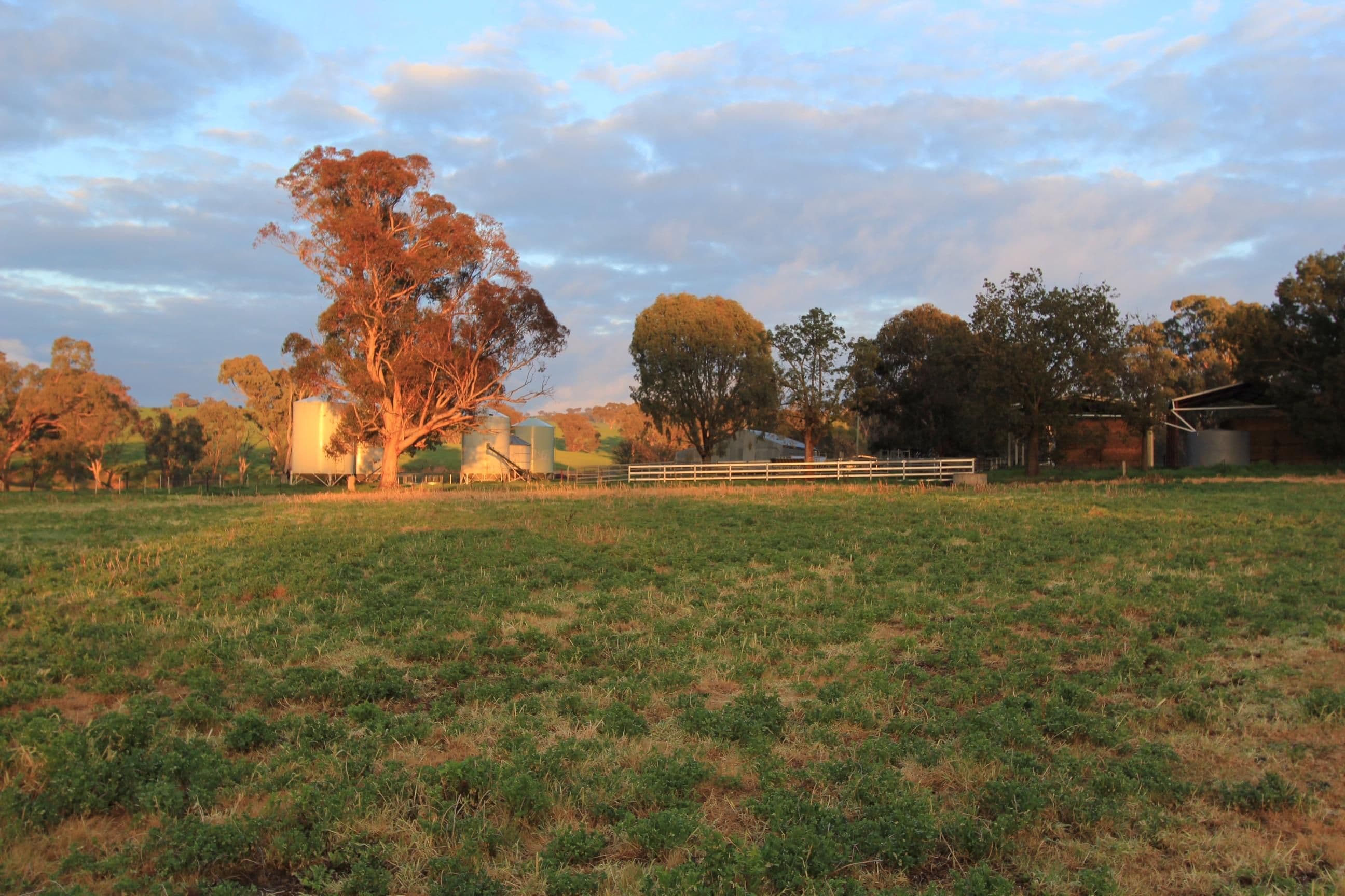 MUTTAMA NSW 2722, Muttama - Thumbnail 3