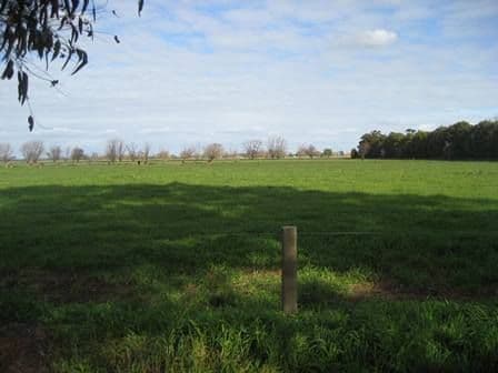 444 Echuca Nanneella Road, NANNEELLA VIC 3561, Nanneella - Thumbnail 7