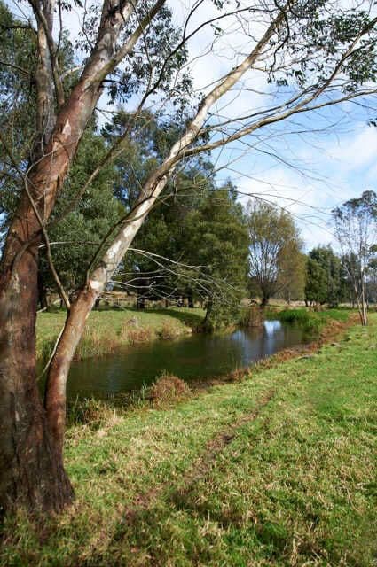 230 Blencowe Lane, WILDES MEADOW NSW 2577, Wildes Meadow - Thumbnail 3