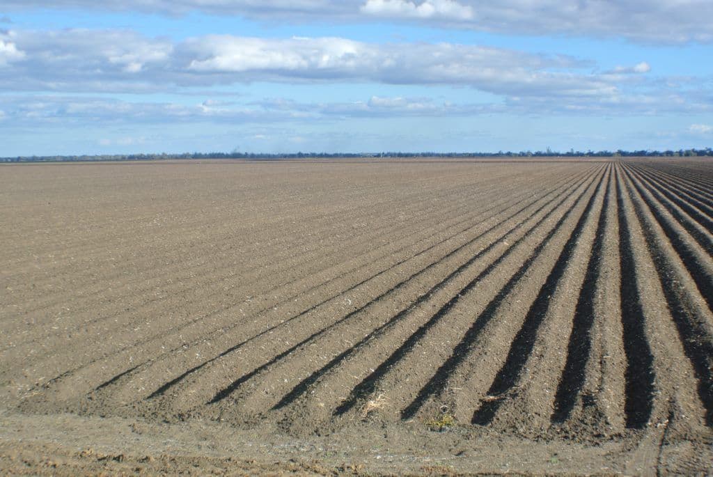 "Glendarra" Narrabri, NARRABRI NSW 2390, Narrabri - Thumbnail 4