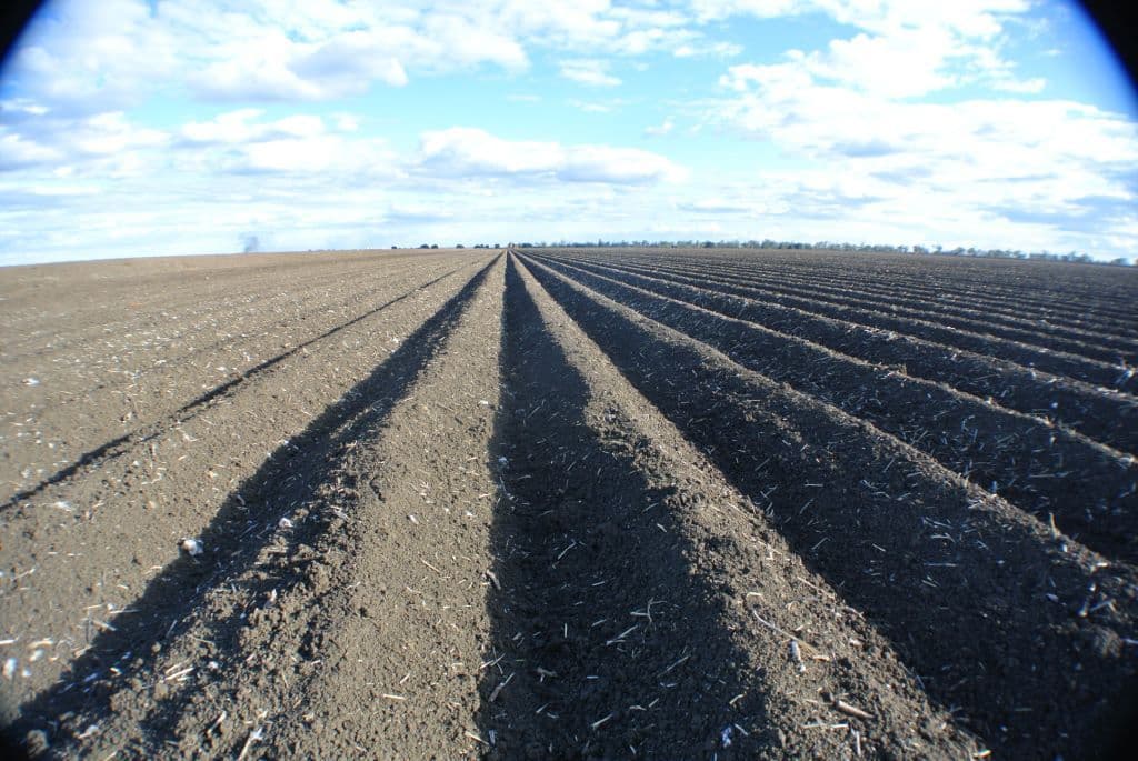 "Glendarra" Narrabri, NARRABRI NSW 2390, Narrabri - Thumbnail 6