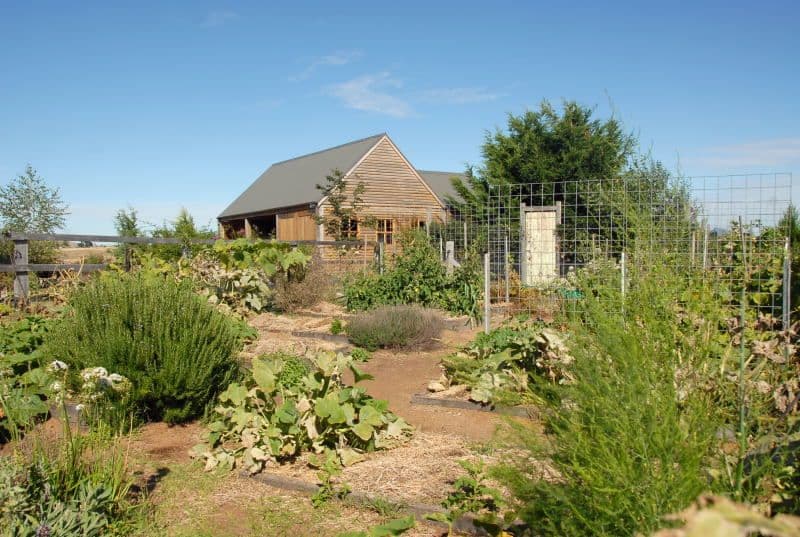 61 Cowper Street, BRAIDWOOD NSW 2622, Braidwood - Thumbnail 5