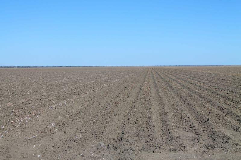Lot 1 'Ballandool Station', Ballandool Road, HEBEL QLD 4486, Hebel - Thumbnail 5