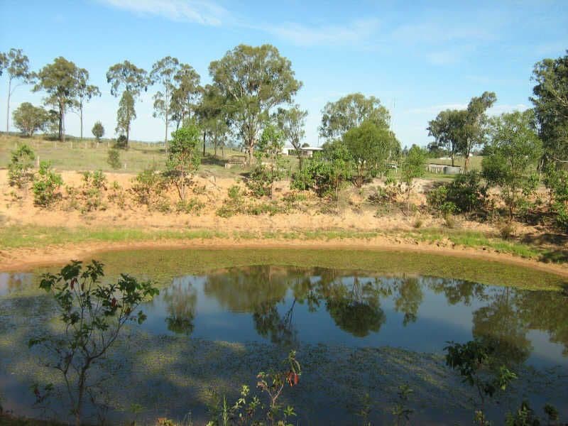 219 MounT Hope Road, WATTLE CAMP QLD 4615, Wattle Camp - Thumbnail 3
