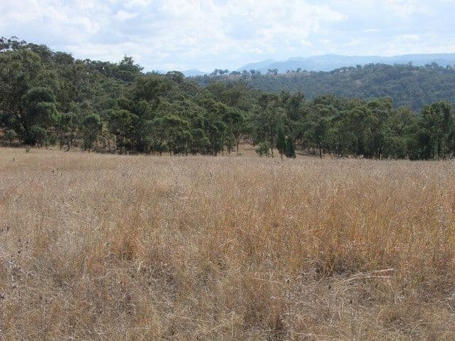 ' BERNANDAWN', Coonabarabran NSW 2357, Coonabarabran - Thumbnail 5