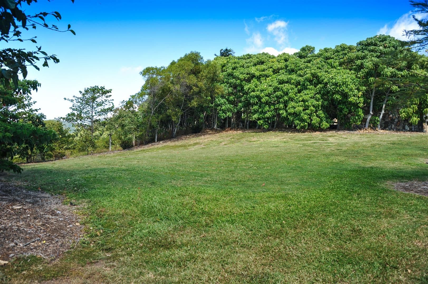 Lot 26 Raintree Place, Airlie Beach QLD 4802, Airlie Beach - Thumbnail 6