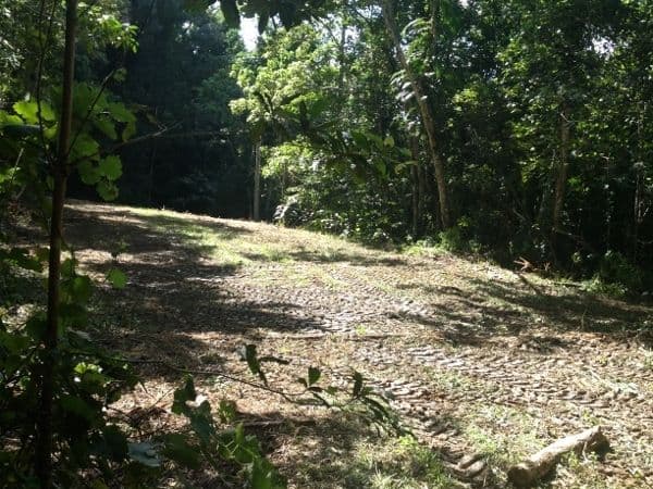 46 Cascades Drive, Redlynch QLD 4870, Redlynch - Thumbnail 4