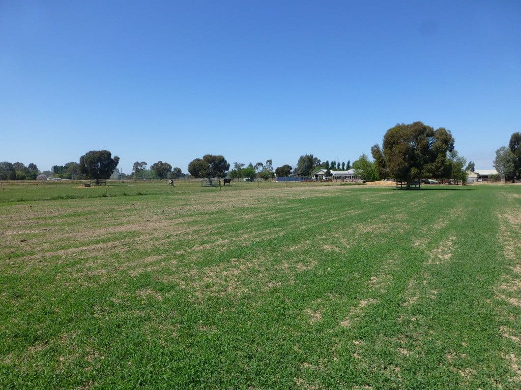 113 Hicks Road, Echuca VIC 3564, Echuca - Thumbnail 7