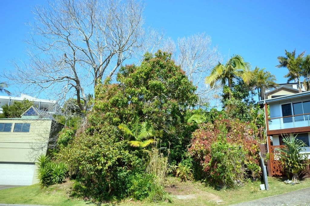 143 Edinburgh Street, Coffs Harbour - Thumbnail 6