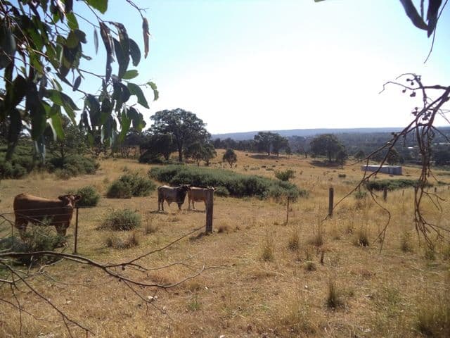 140 Arkells Lane, Wandong VIC 3758, Wandong - Thumbnail 3
