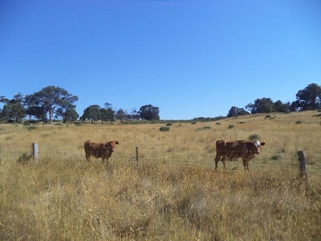 140 Arkells Lane, Wandong VIC 3758, Wandong - Thumbnail 4